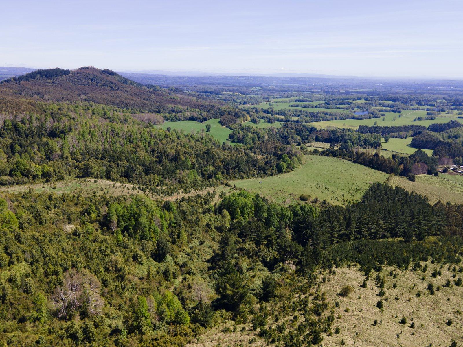 Entorno natural del proyecto — Mirador de Villarrica